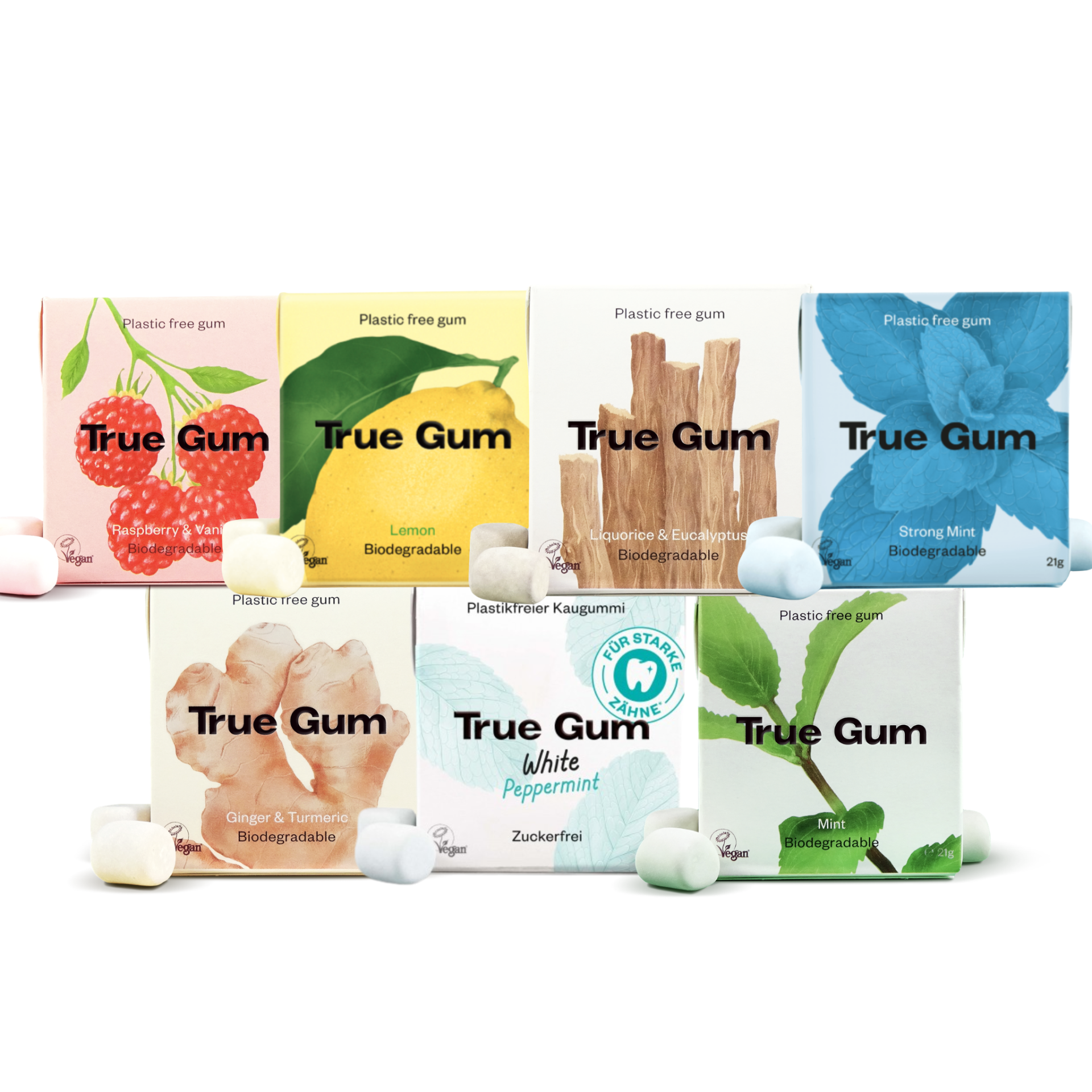 TRUE GUM FRESH BOX